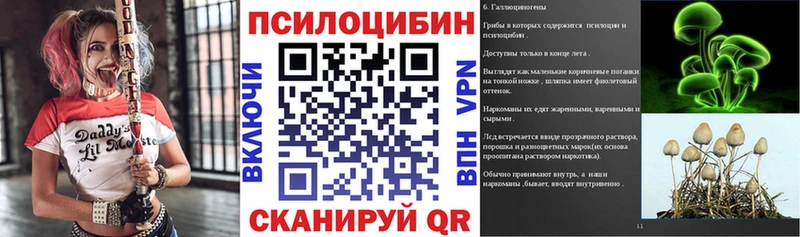 Галлюциногенные грибы Magic Shrooms  Купить  Наволоки 